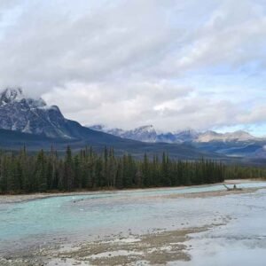Staer VoicesOfConservation Org Blog