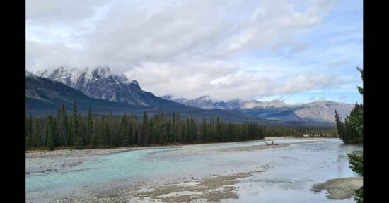 Staer VoicesOfConservation Org Blog