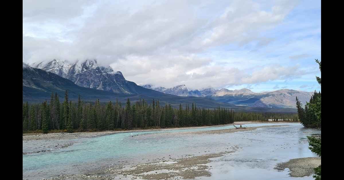 Staer VoicesOfConservation Org Blog