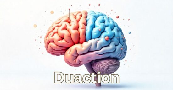 Duaction: A Dual-Action Model for Better Learning